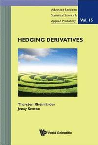 bokomslag Hedging Derivatives