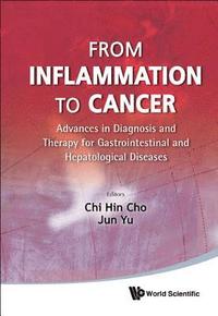 bokomslag From Inflammation To Cancer: Advances In Diagnosis And Therapy For Gastrointestinal And Hepatological Diseases