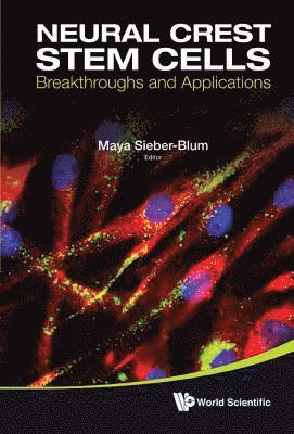 bokomslag Neural Crest Stem Cells: Breakthroughs And Applications