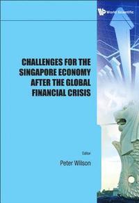 bokomslag Challenges For The Singapore Economy After The Global Financial Crisis