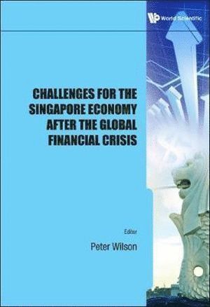 bokomslag Challenges For The Singapore Economy After The Global Financial Crisis