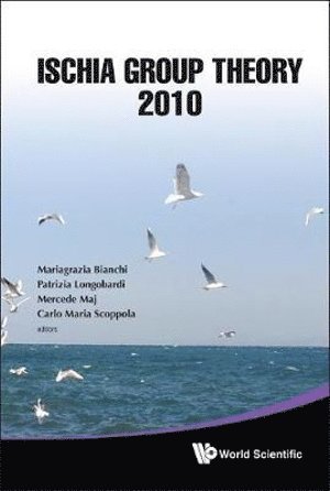 AL MARIAGRAZIA BIANCHI ET, Al Mariagrazia Bianchi Et, Mariagrazia Bianchi, Patrizia Longobardi, Mercede Maj, Carlo Maria Scoppola, Italy) Bianchi, Mariagrazia (Univ Of Milano, Italy) Longobardi, Patrizia (Univ Di Salerno, Italy) Maj, Mercede (Univ Di Salerno, Italy) Scoppola, Carlo Maria (Univ Of L'aquila - Ischia Group Theory 2010 - Proceedings Of The Conference, Inbunden