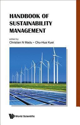 bokomslag Handbook Of Sustainability Management