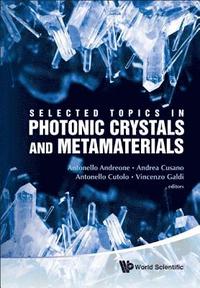 bokomslag Selected Topics In Photonic Crystals And Metamaterials
