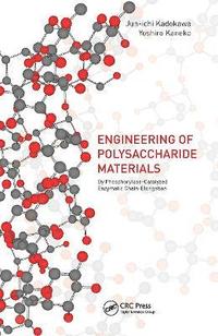 bokomslag Advances in the Engineering of Polysaccharide Materials