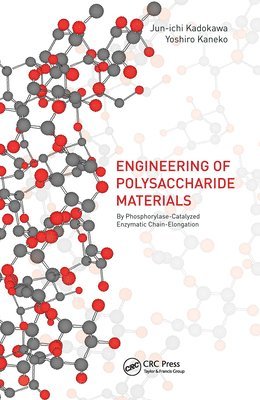 bokomslag Advances in the Engineering of Polysaccharide Materials