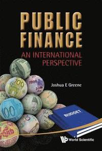 bokomslag Public Finance: An International Perspective