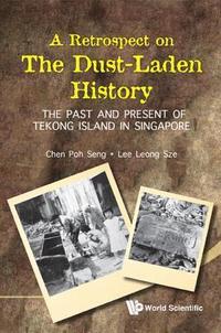 bokomslag Retrospect On The Dust-laden History, A: The Past And Present Of Tekong Island In Singapore