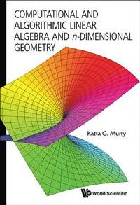 bokomslag Computational And Algorithmic Linear Algebra And N-dimensional Geometry