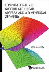 bokomslag Computational And Algorithmic Linear Algebra And N-dimensional Geometry