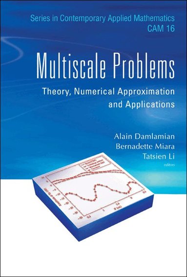 DAMLAMIAN ALAIN, Alain Damlamian, Bernadette Miara, Tatsien Li - MULTISCALE PROBLEMS: THEORY, NUMERICAL APPROXIMATION AND APPLICATIONS, Inbunden