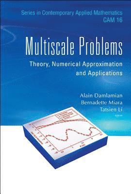 bokomslag Multiscale Problems: Theory, Numerical Approximation And Applications