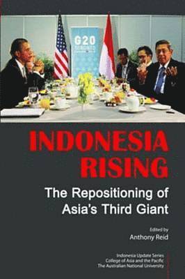 bokomslag Indonesia Rising