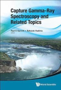 bokomslag Capture Gamma-ray Spectroscopy And Related Topics - Proceedings Of The Fourteenth International Symposium