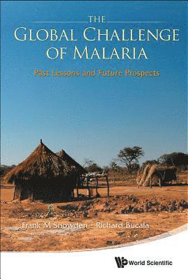 bokomslag Global Challenge Of Malaria, The: Past Lessons And Future Prospects