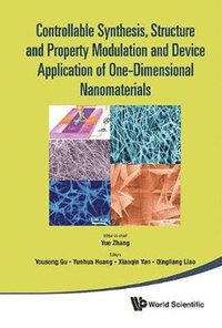 bokomslag Controllable Synthesis, Structure And Property Modulation And Device Application Of One-dimensional Nanomaterials - Proceedings Of The 4th International Conference On One-dimensional Nanomaterials ...