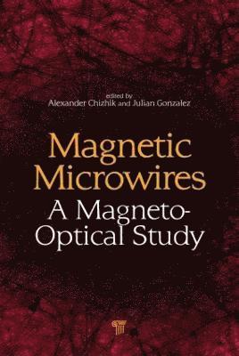 Alexander Chizhik, Julian Gonzalez - Magnetic Microwires, Inbunden