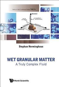 bokomslag Wet Granular Matter: A Truly Complex Fluid