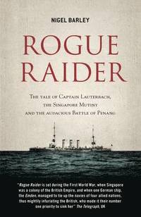 bokomslag Rogue Raider