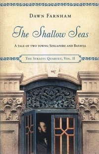 bokomslag The Shallow Seas