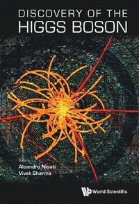 bokomslag Discovery Of The Higgs Boson