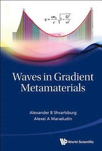 bokomslag Waves In Gradient Metamaterials