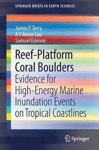 bokomslag Reef-Platform  Coral  Boulders