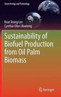 bokomslag Sustainability of Biofuel Production from Oil Palm Biomass