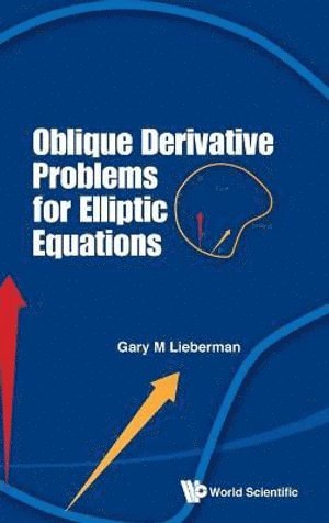 Gary M Lieberman, Usa) Lieberman, Gary M (Iowa State Univ Of Science & Tech, Gary M. Lieberman, LIEBERMAN GARY M, Lieberman Gary M - Oblique Derivative Problems For Elliptic Equations, Inbunden