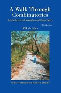 bokomslag Walk Through Combinatorics, A: An Introduction To Enumeration And Graph Theory (Third Edition)