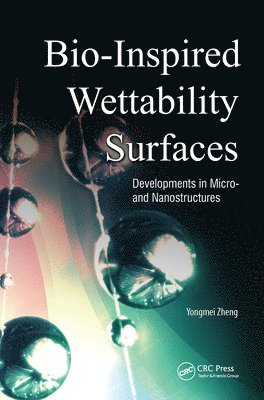 bokomslag Bio-Inspired Wettability Surfaces