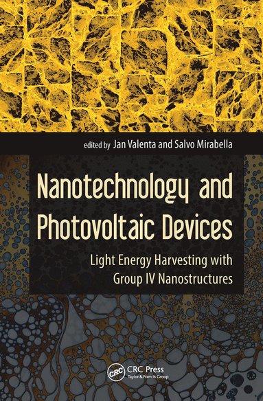 bokomslag Nanotechnology and Photovoltaic Devices