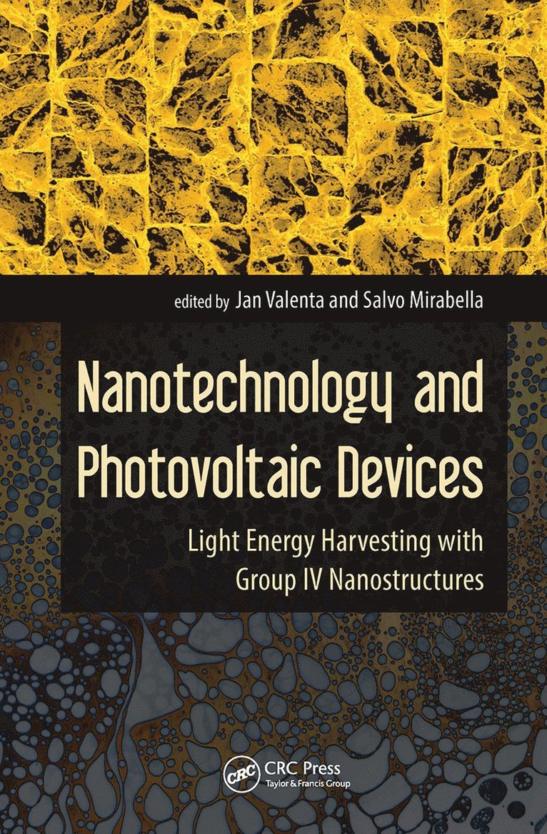 Jan Valenta, Salvo Mirabella - Nanotechnology and Photovoltaic Devices, Inbunden