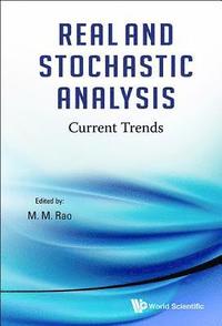 bokomslag Real And Stochastic Analysis: Current Trends