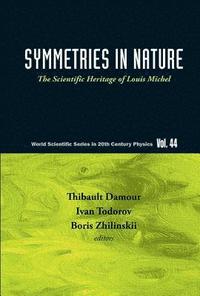 bokomslag Symmetries In Nature: The Scientific Heritage Of Louis Michel