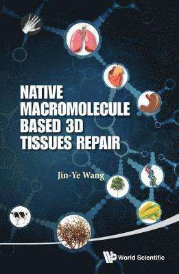 bokomslag Native Macromolecule-based 3d Tissues Repair