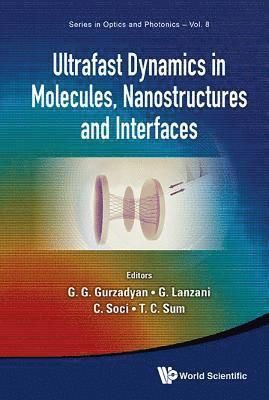 bokomslag Ultrafast Dynamics In Molecules, Nanostructures And Interfaces - Selected Lectures Presented At Symposium On Ultrafast Dynamics Of The 7th International Conference On Materials For Advanced