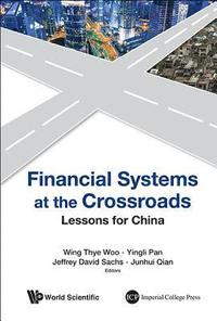 bokomslag Financial Systems At The Crossroads: Lessons For China