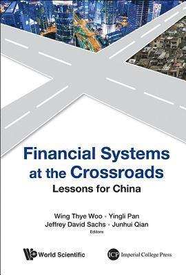 bokomslag Financial Systems At The Crossroads: Lessons For China