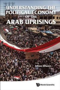 bokomslag Understanding The Political Economy Of The Arab Uprisings