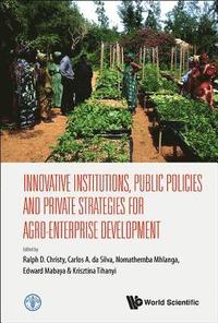 bokomslag Innovative Institutions, Public Policies And Private Strategies For Agro-enterprise Development