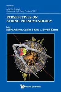 bokomslag Perspectives On String Phenomenology