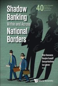 bokomslag Shadow Banking Within And Across National Borders