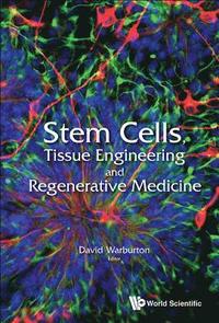 bokomslag Stem Cells, Tissue Engineering And Regenerative Medicine