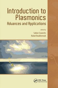 bokomslag Introduction to Plasmonics