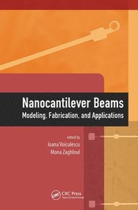 bokomslag Nanocantilever Beams