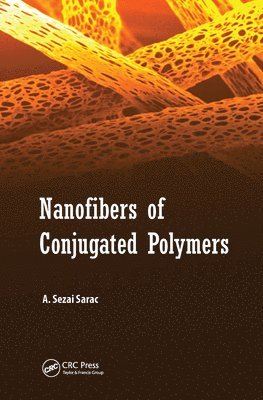 bokomslag Nanofibers of Conjugated Polymers