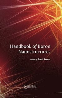 bokomslag Handbook of Boron Nanostructures