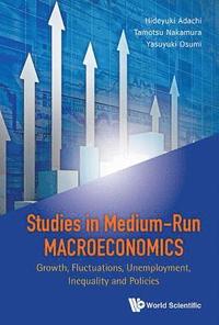 bokomslag Studies In Medium-run Macroeconomics: Growth, Fluctuations, Unemployment, Inequality And Policies