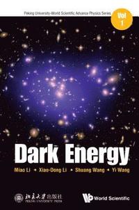 bokomslag Dark Energy